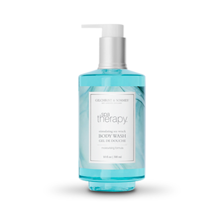 Spa Therapy Premium Pump Spa Therapy Premium Pump