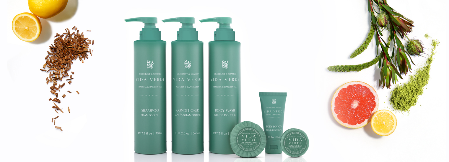 Vida Verde with ingredients